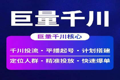网络推广与竞价优化成功案例